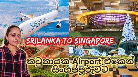 cheap flights from manila to singapore|colombo to singapore air tickets.